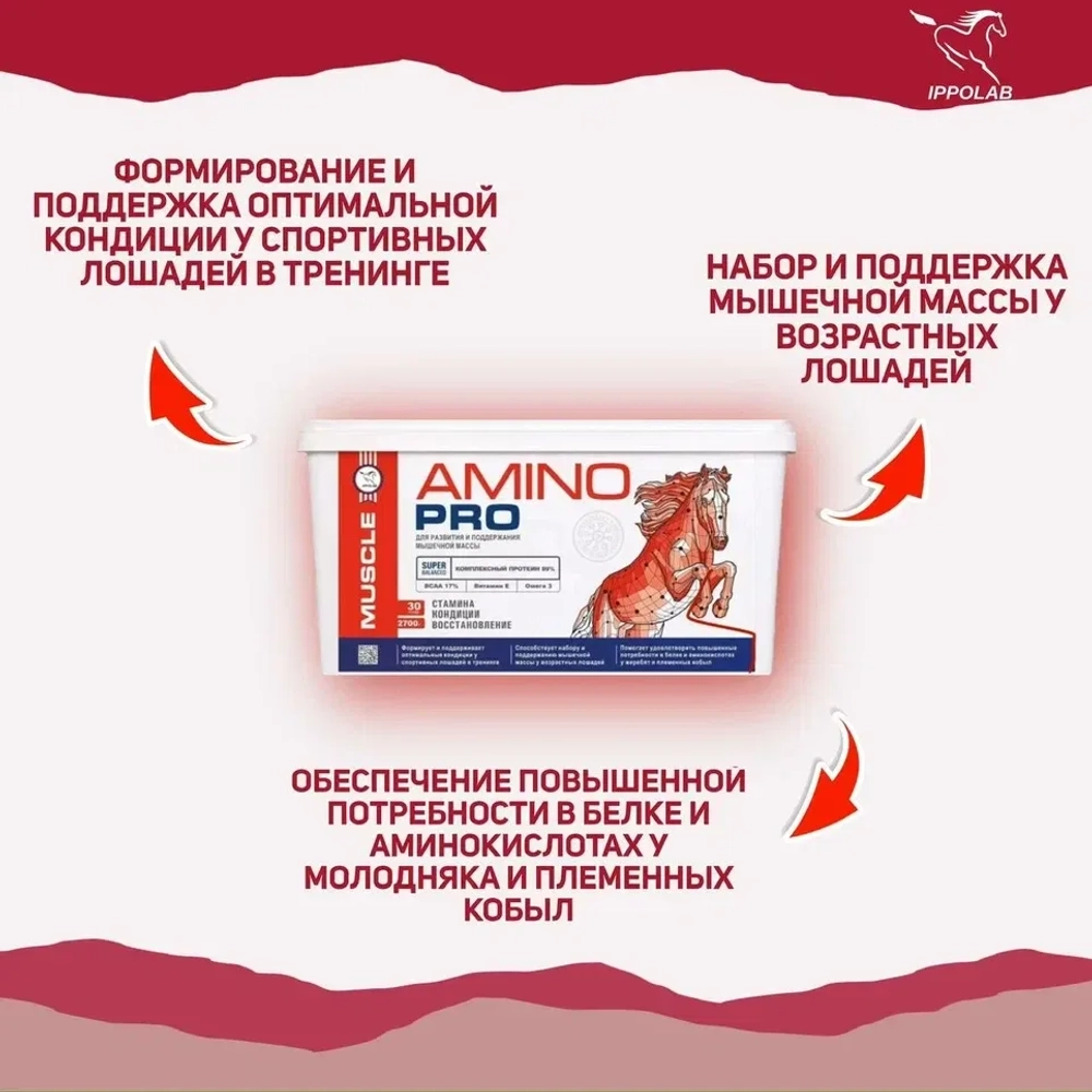 AMINO PRO- для развития и поддержания мышечной массы, 2,7кг