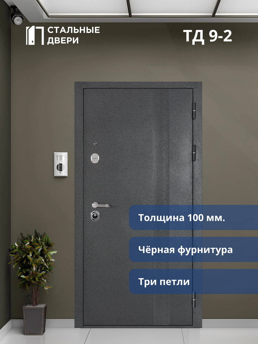 Входная дверь ТД 9-2 Зеркало