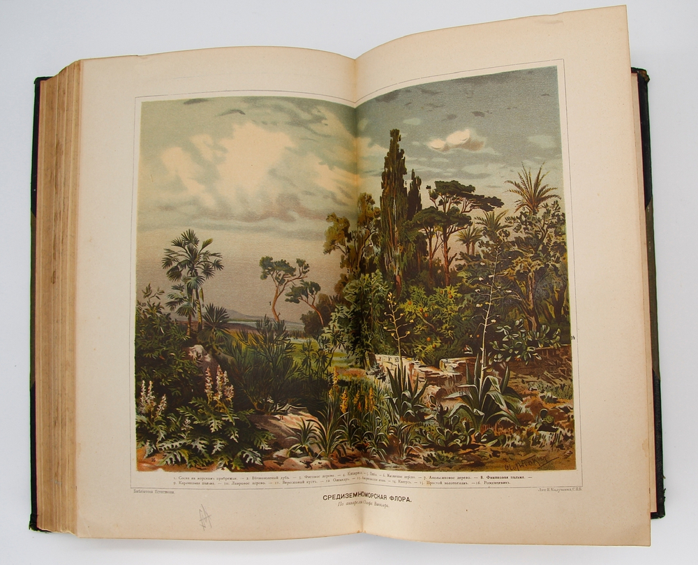 "Земля и жизнь". Ф. Ратцель. 1905г. - антикварная книга