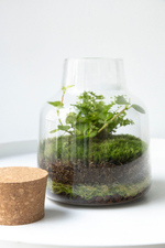 Экосистема Vase