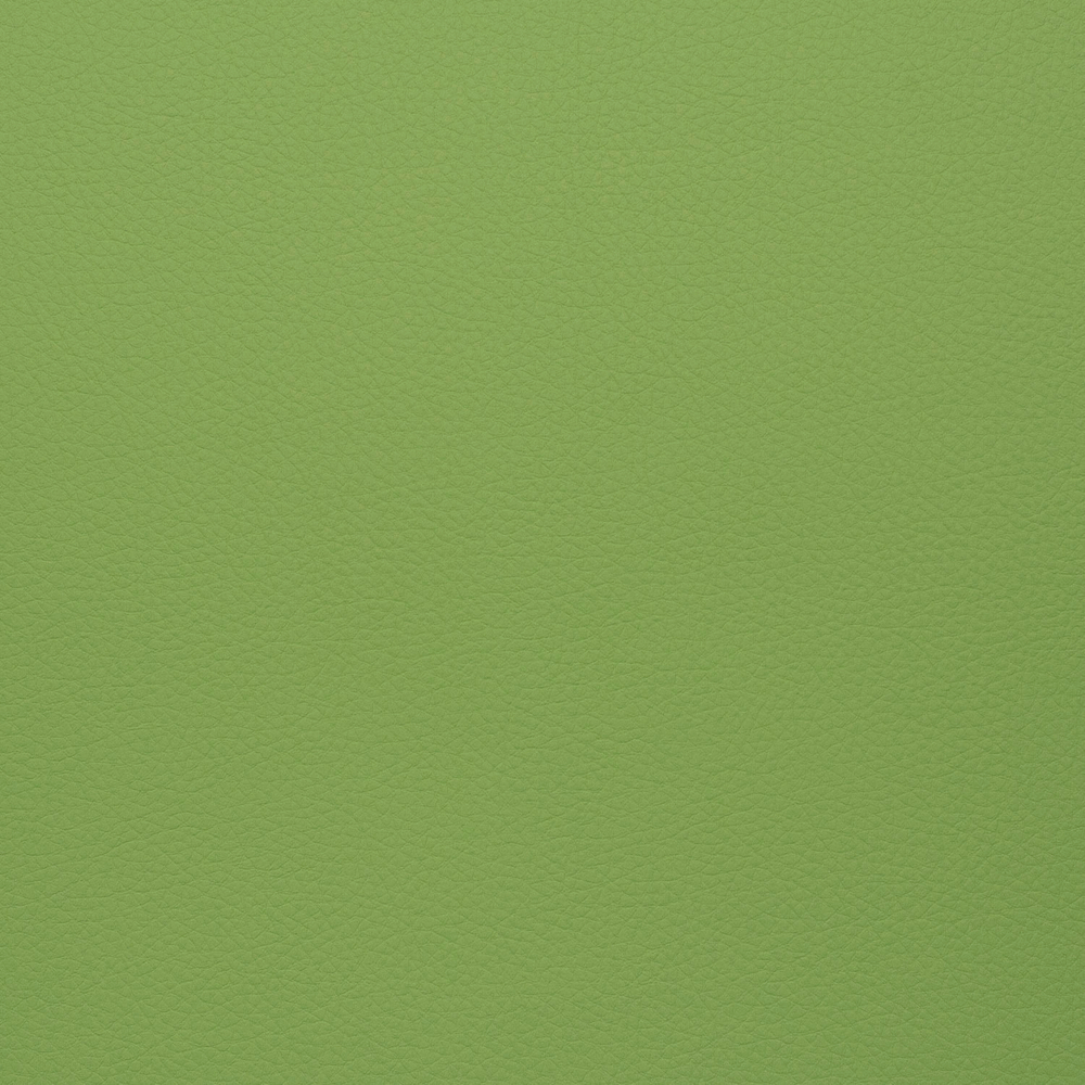 Искусственная кожа Grifon (Грифон) 06