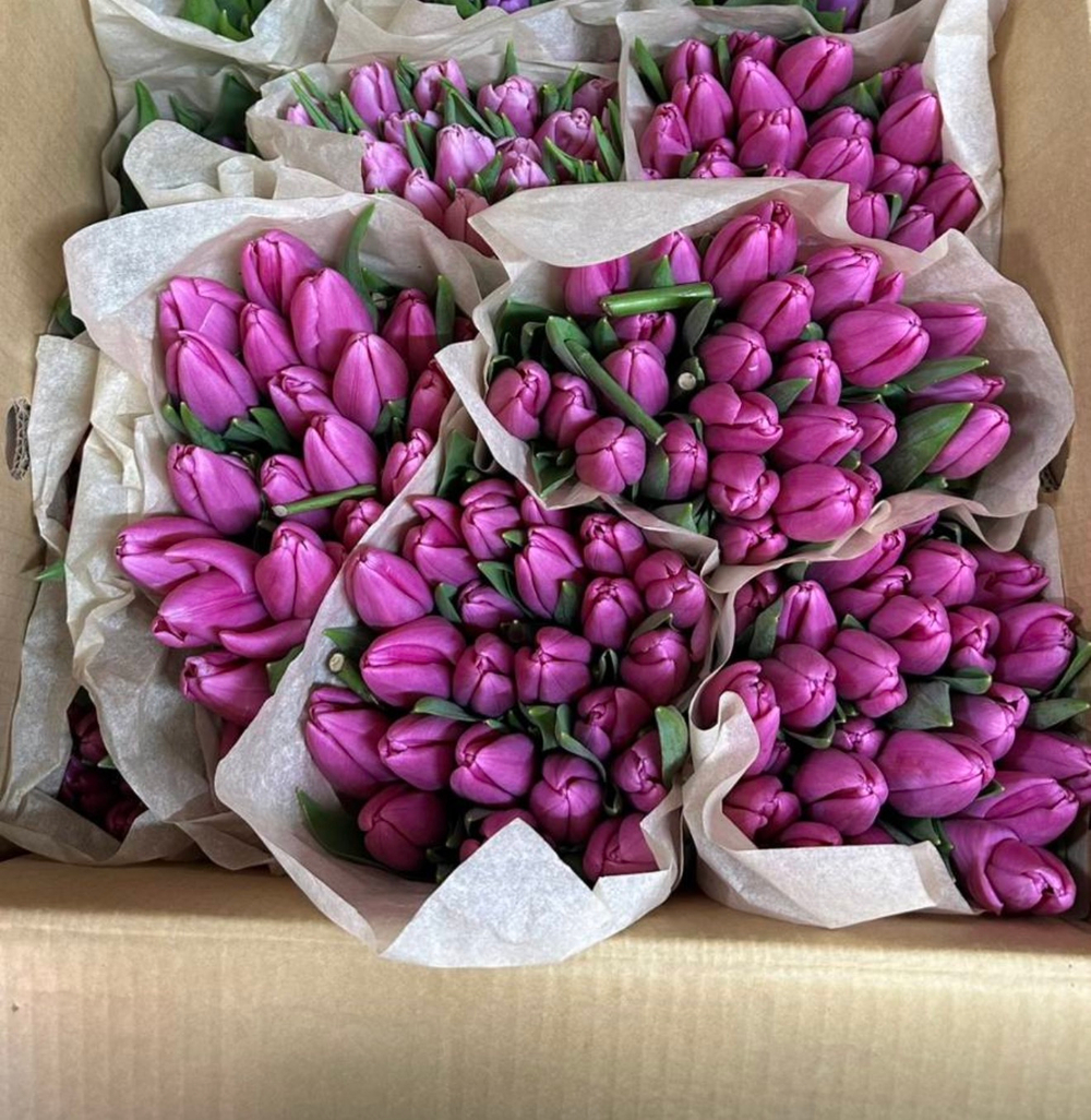 Розово-фиолетовые 19 шт