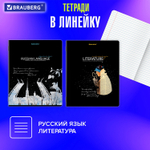 Тетради предметные комплект 12 ПРЕДМЕТОВ 48 л. глянцевый УФ-лак BRAUBERG "СИЯНИЕ ЗНАНИЙ" (2 штуки в упаковке)