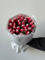 Букет из 35-ти красно-белых тюльпанов