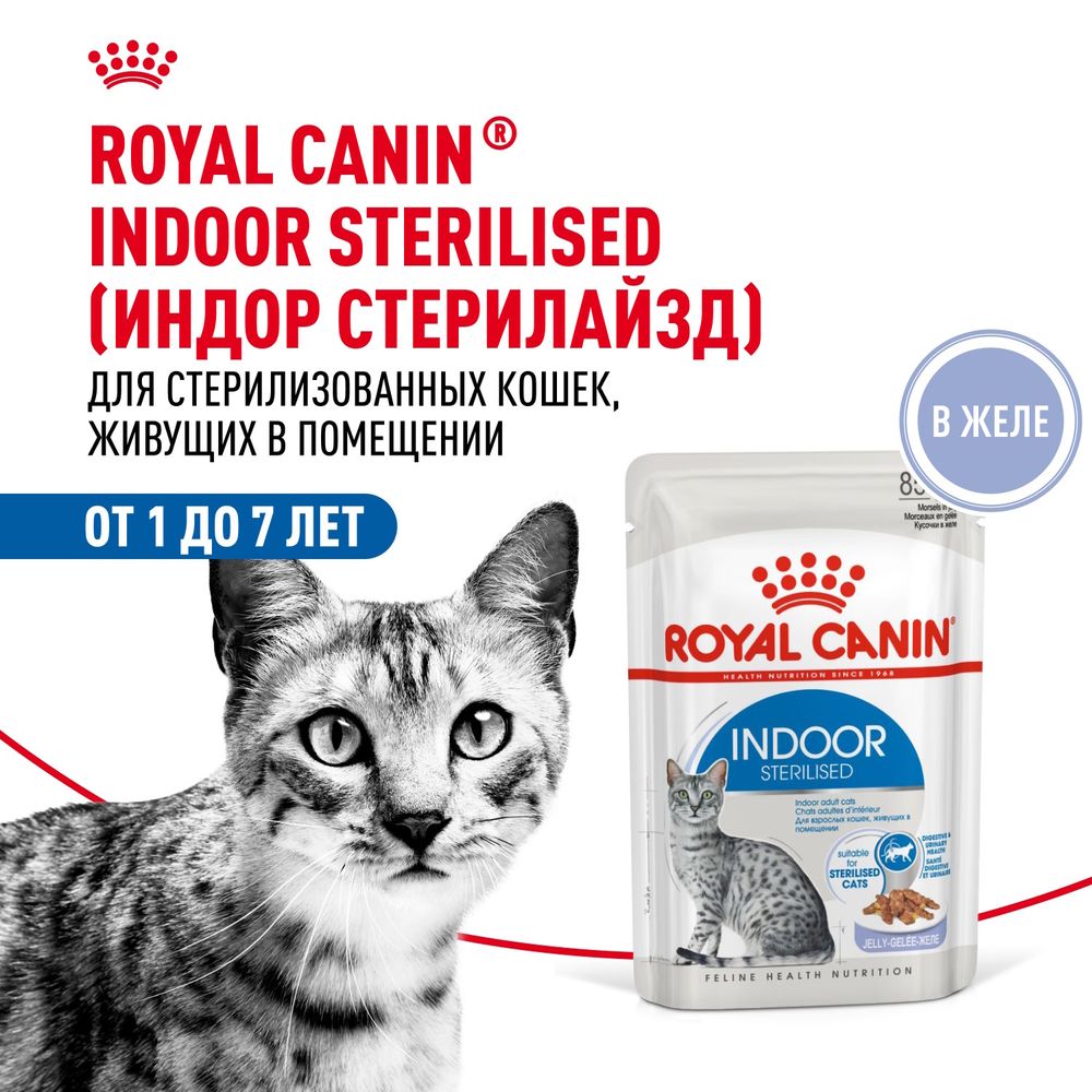 Пауч Royal Canin Indoor Sterilised для взрослых кастрированных и стерилизованных кошек, живущих в помещении, кусочки в желе Пауч Royal Canin Indoor Sterilised для взрослых кастрированных и стерилизованных кошек, живущих в помещении, кусочки в желе