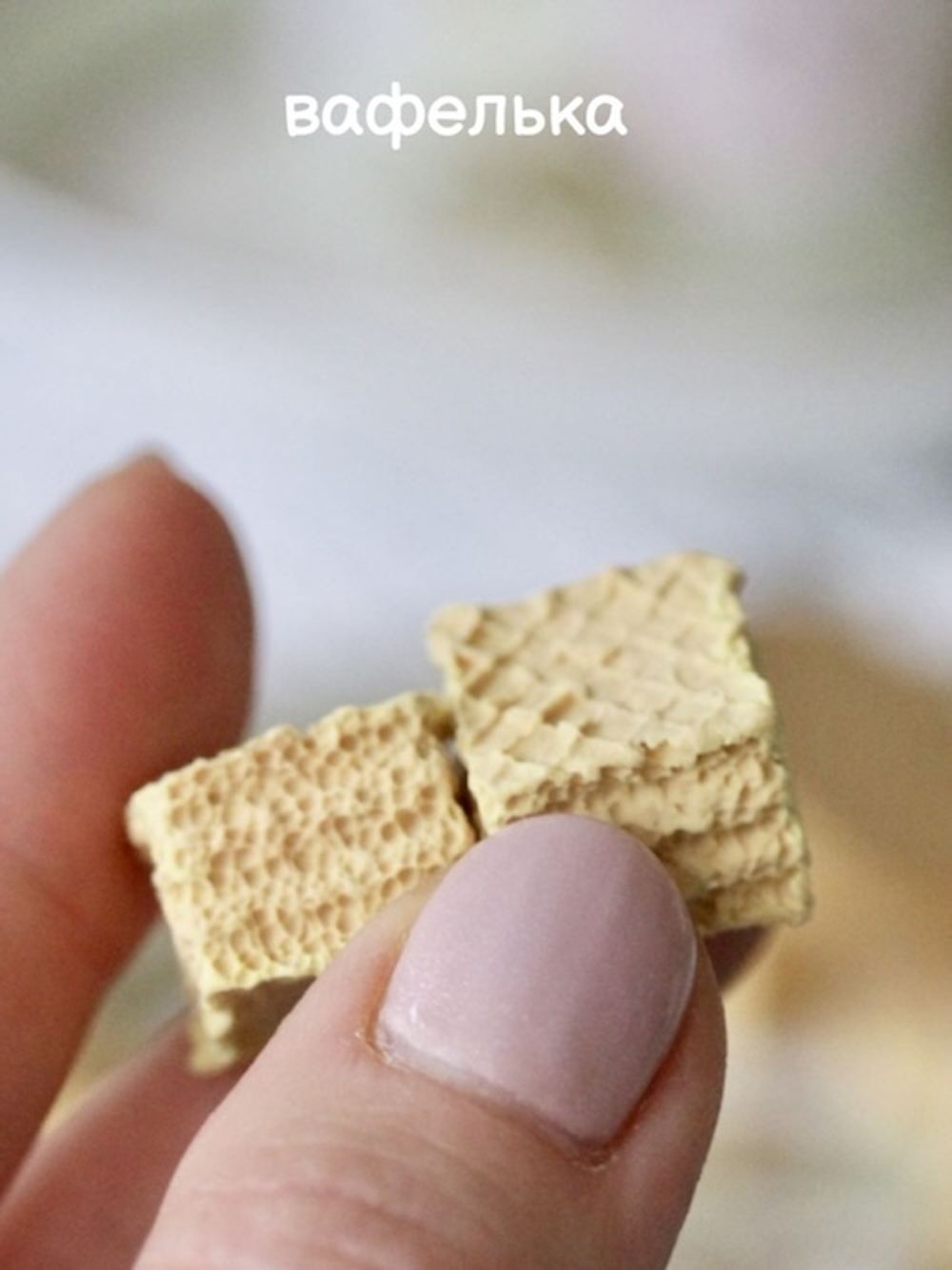 Комплект силиконовых вайнеров для изготовления печенья (6 шт)