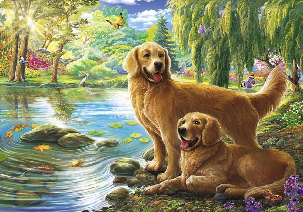 Картина по номерам 40х50см. "Золотистые ретриверы у реки" ( Арт. ХК-8002)