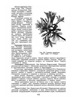 Цветоводство. Часть 2 | Г.Е. Киселев