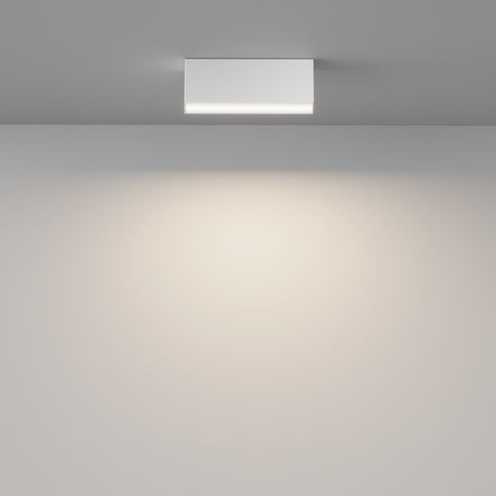 Потолочный светильник Technical C068CL-12W3-6K-W