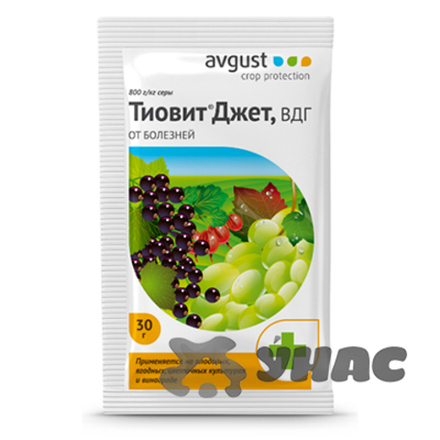 Тиовит джет (от мучнистой росы) 30 гр "Август"