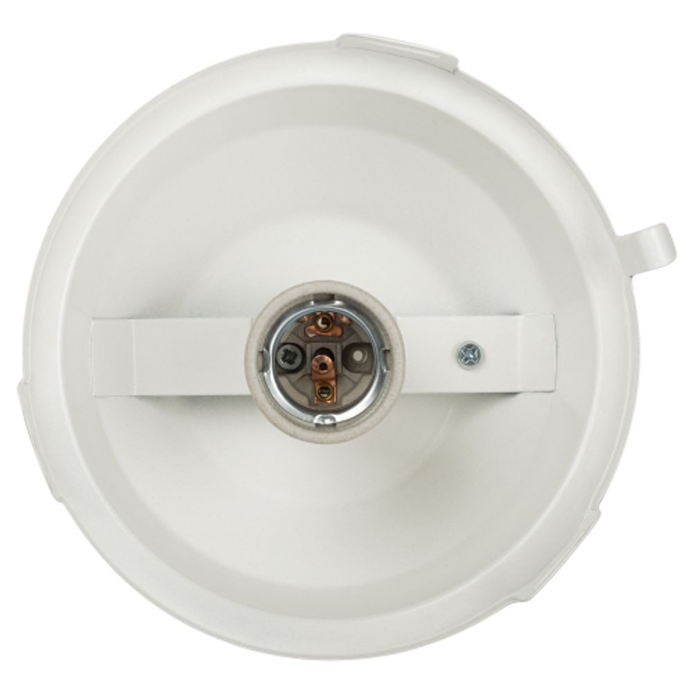 Светильник ЭРА НСП 02-100-001 без решетки Желудь сталь / стекло IP54 E27 max 100Вт 262х172 белый