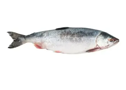 Фасованная продукция IQF