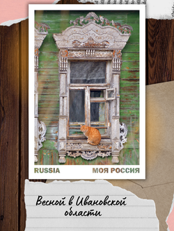 Моя Россия. Коты