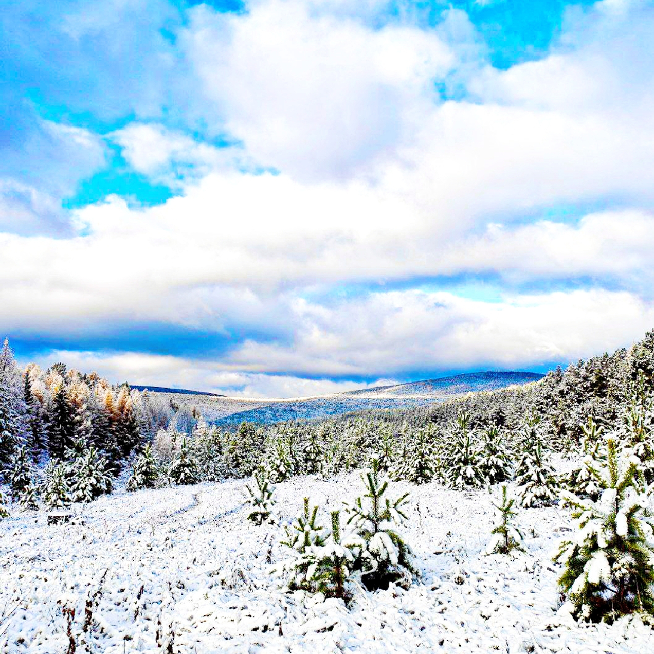 В уединении с природой