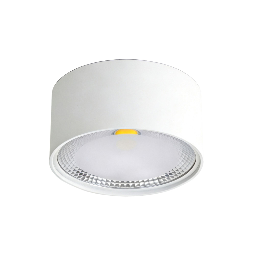 Светильник точечный накладной Wertmark Technical Altair WTA.O02.007.V0.12