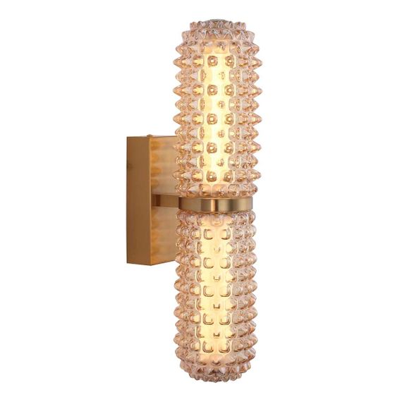 Настенный светильник ST Luce SAGUARO SL6144.301.01