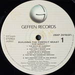 Don Henley ‎– Building The Perfect Beast (Япония 1984г.)