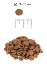 Сухой корм для стерилизованных кошек с индейкой Blitz Sensitive Turkey Adult Sterilised Cat All Breeds 10кг