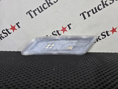 Плафон внутреннего освещения левый 2023г.