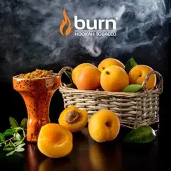 Burn - Juicy Apricot (100г)