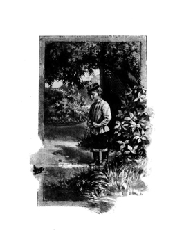 Лепестки. Рассказы, очерки и картинки | Д. Кайгородов