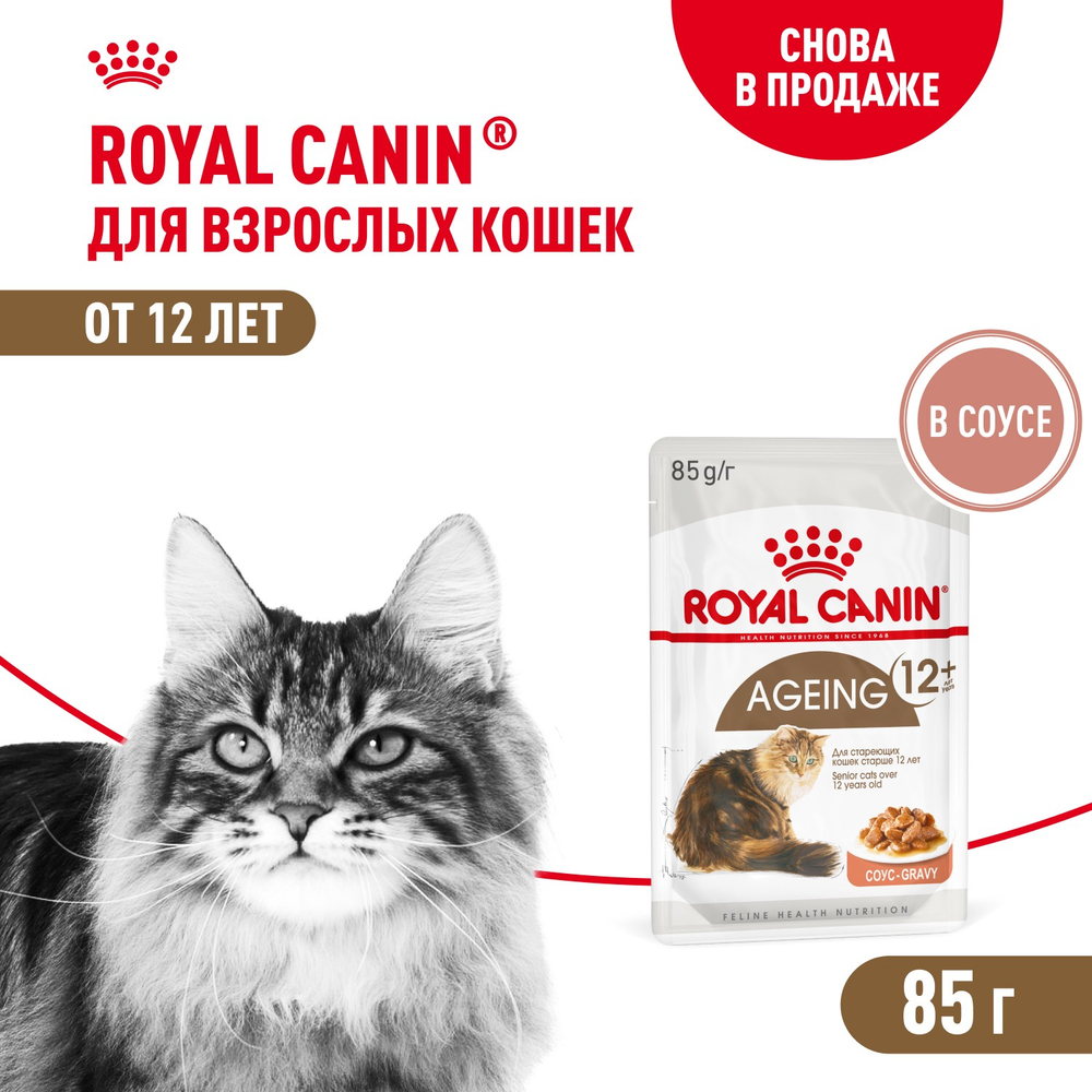 Royal Canin Ageing 12+ Эйджинг Корм влажный для взрослых кошек в возрасте старше 12 лет соус 85г