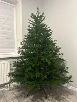 пышная елка Вега