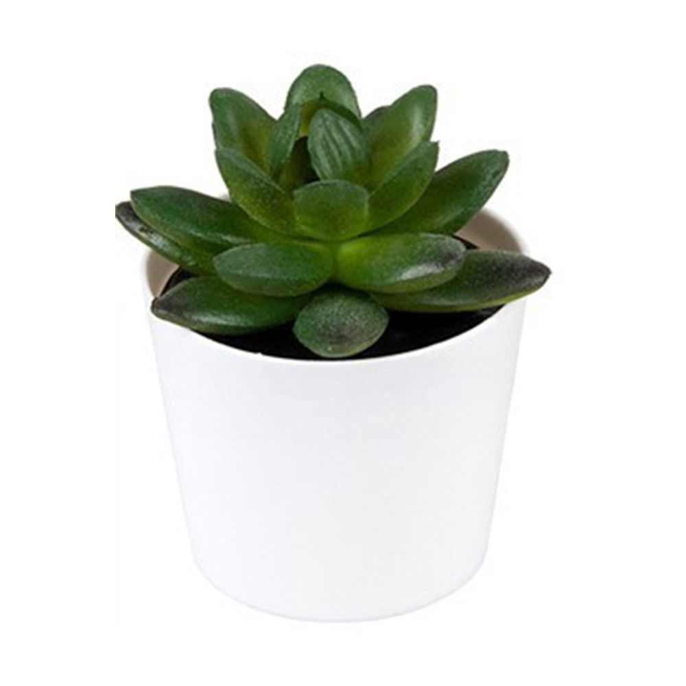 Искусственное комнатное растение в горшке Arvika, 7х10, полипропилен