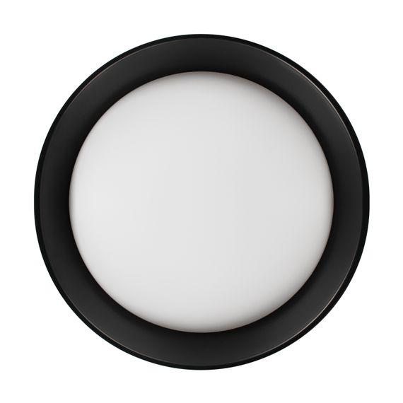 Потолочный светильник Loft it Coin 10202 BB