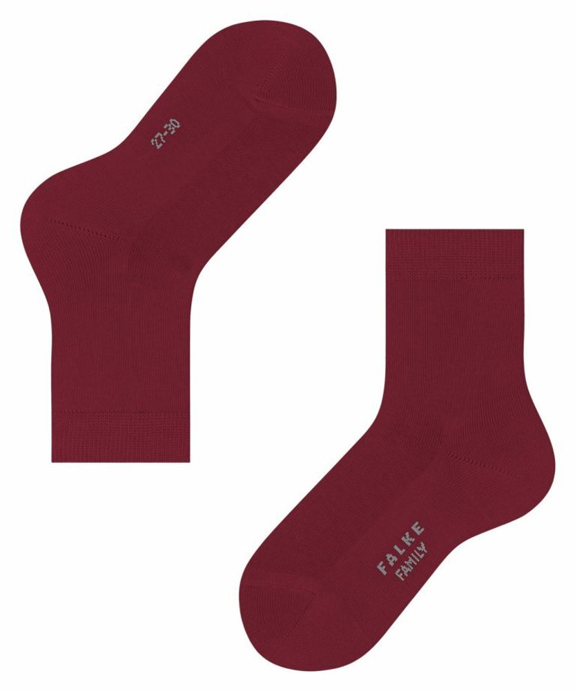 Носки Family FALKE 12998/8030