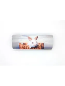 Футляр для очков/чехол для очков/очечник