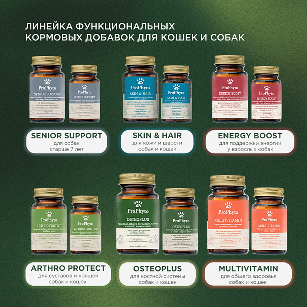 Функциональная кормовая добавка для собак и кошек ProPhyto Мультивитамин, 70 таблеток