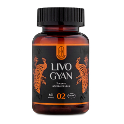 LIVO GYAN Аюрведический комплекс ЛИВО ГЯН Очищение печени 60шт