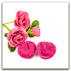 Лепесток шиповника морщинистого