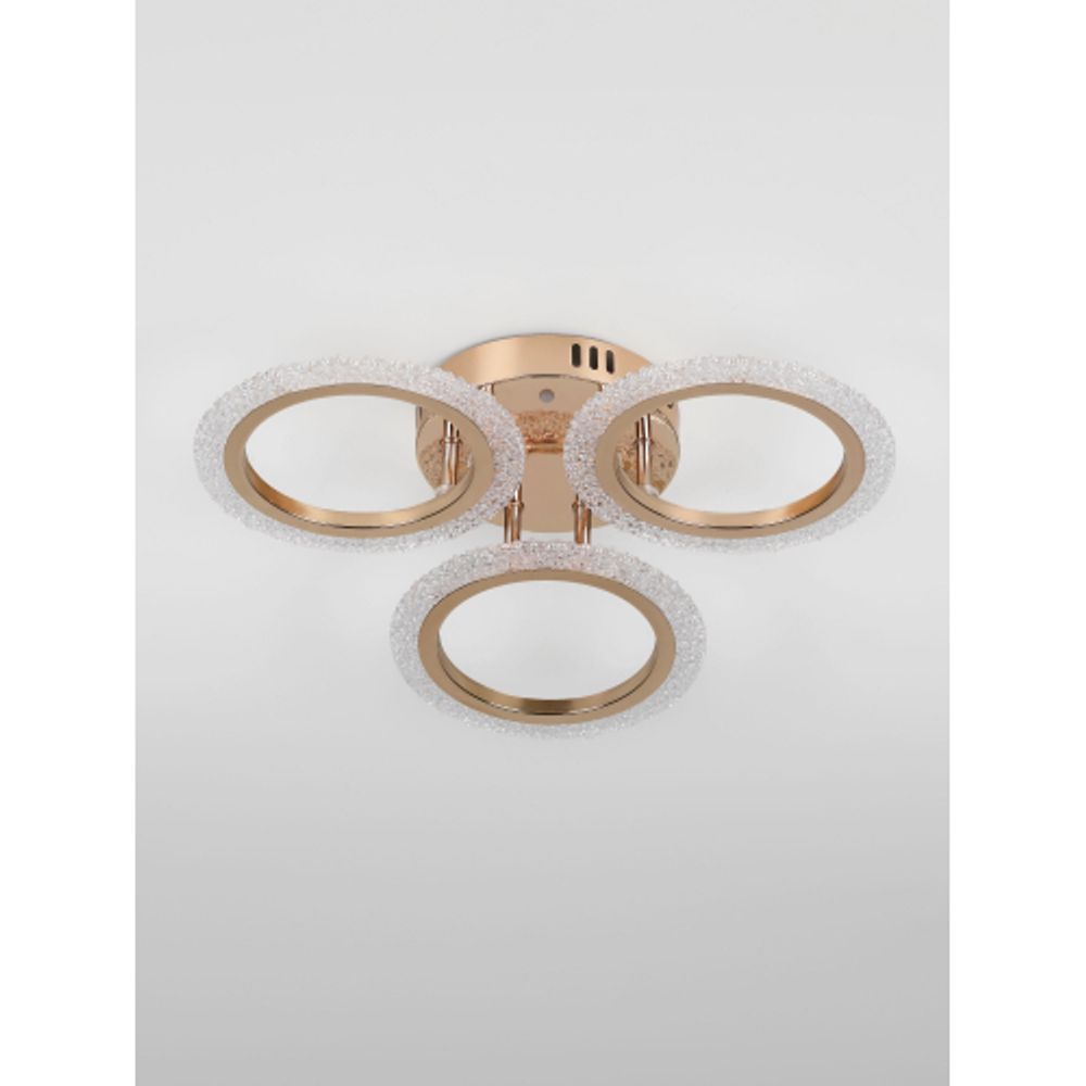 Светильник потолочный светодиодный Rivoli Evlalia 6178-703 LED 42Вт 3000-6000К с пультом | Rivoli