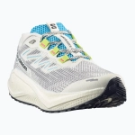 Кроссовки для бега Salomon Aero Blaze 3 GRVL vanilla ice/ojos del salar/black