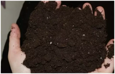 Грунт ЖИВАЯ ЗЕМЛЯ 25л для рассады TERRA VITA (60шт/пал)