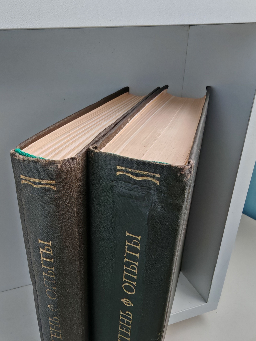 Мишель Монтень. Опыты (комплект из 2 книг)