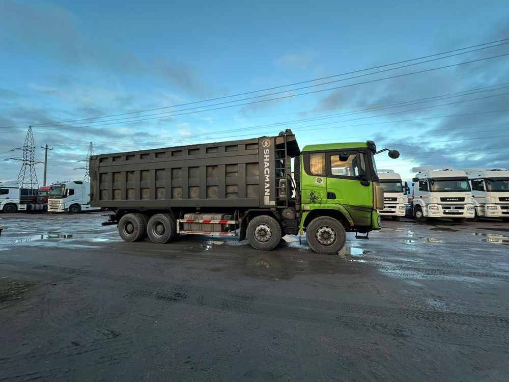 Shacman (Shaanxi) SX* 8x4 Самосвал SX33186W366C (Дизельный, 10,8 л, 441 л.с., МТ)