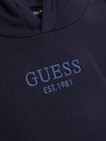 Худые Guess - темно-синий(L4BQ29 KAV33)