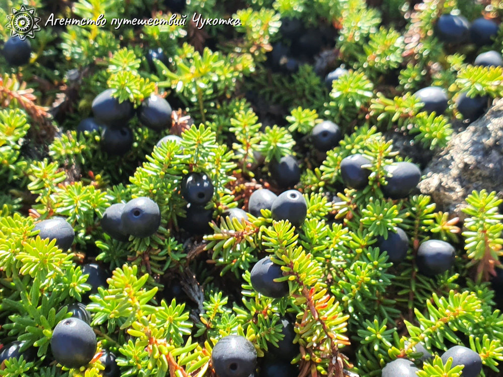 Экскурсия на гору Архангела Михаила