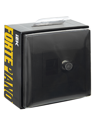 FORTE&PIANO Розетка двойная TV+RJ45 кат.5E FP136 черный IEK