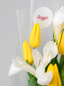 Дуо букет Ирисы с Тюльпанами