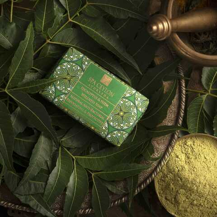 Натуральное антибактериальное мыло "ЭВКАЛИПТ И НИМ" (100g)