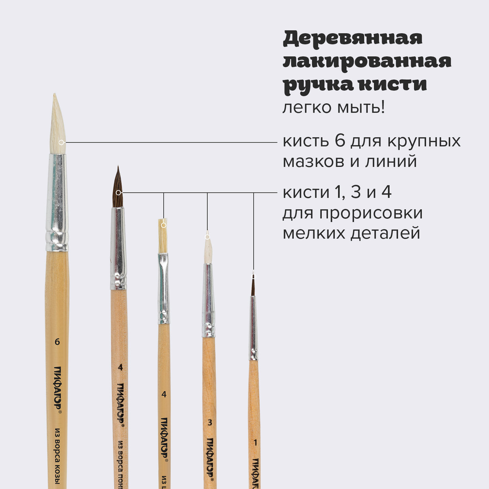 Кисти ПИФАГОР, набор 5 шт. (ПОНИ: круглые № 1, 4; КОЗА: круглые № 3, 6; ЩЕТИНА: плоская № 4), пакет с европодвесом, 200892