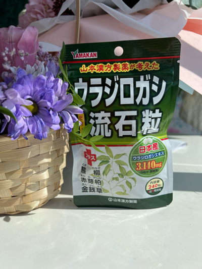 Урохолум Yamamoto Kanpoh — японский растительный комплекс для здоровья почек, 240 таблеток