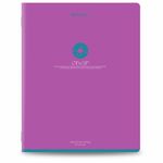 Тетради предметные, КОМПЛЕКТ 13 ПРЕДМЕТОВ, 48 л., матовая ламинация, BRAUBERG "MONOCOLOR", 405175