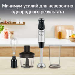 Погружной блендер Moulinex Quickchef DD653832