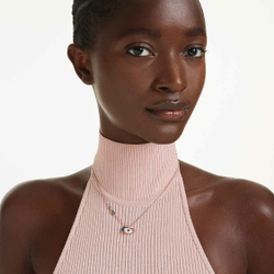 SYMBOLICA:PEND MUL/ROS