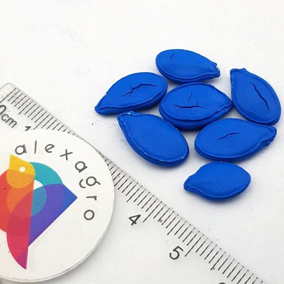 СВИТ МАМА F1 семена тыквы (Takii | Alexagro)